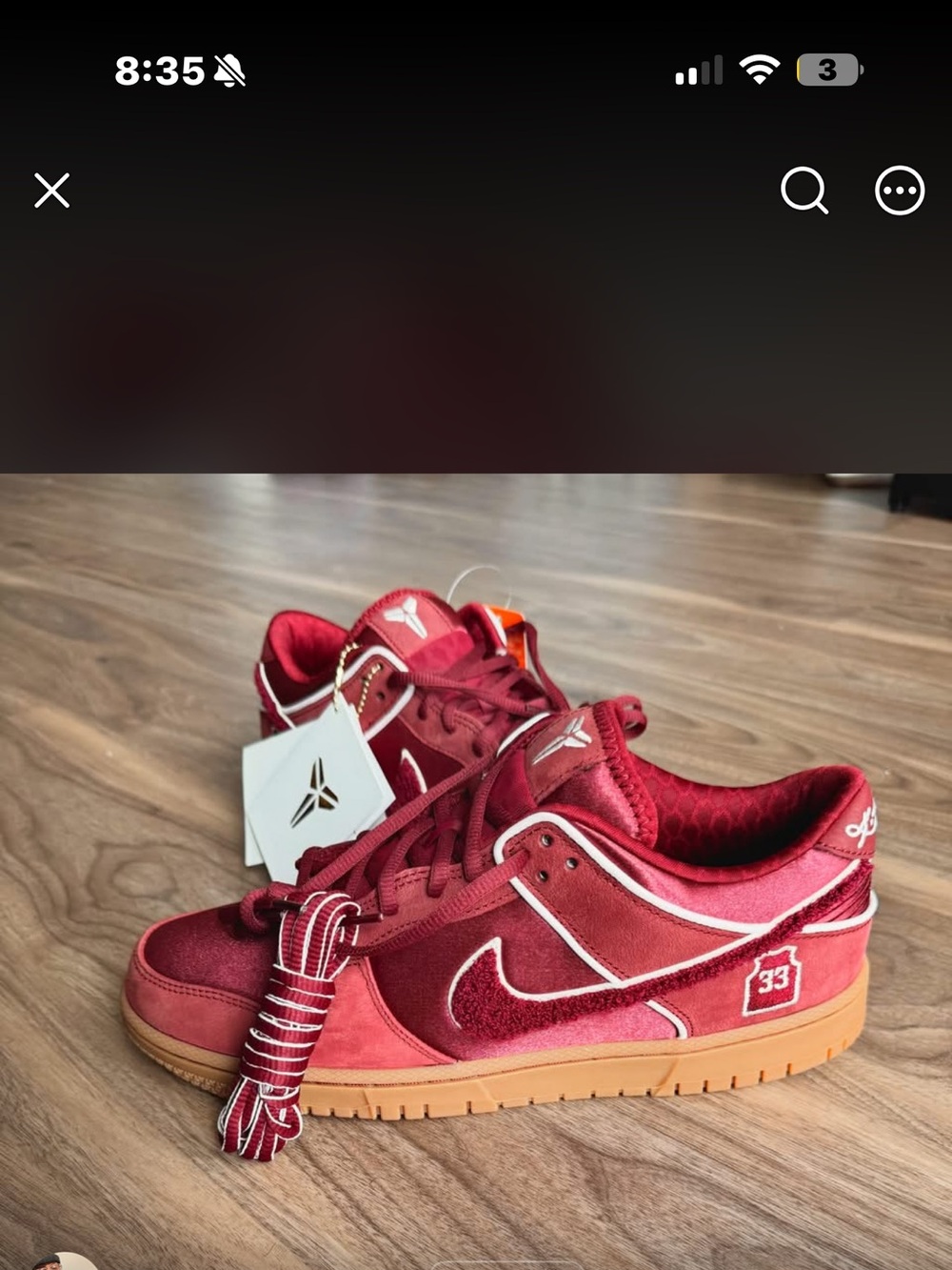 New Nike Kobe Bryant X Nike Dunk shoes
